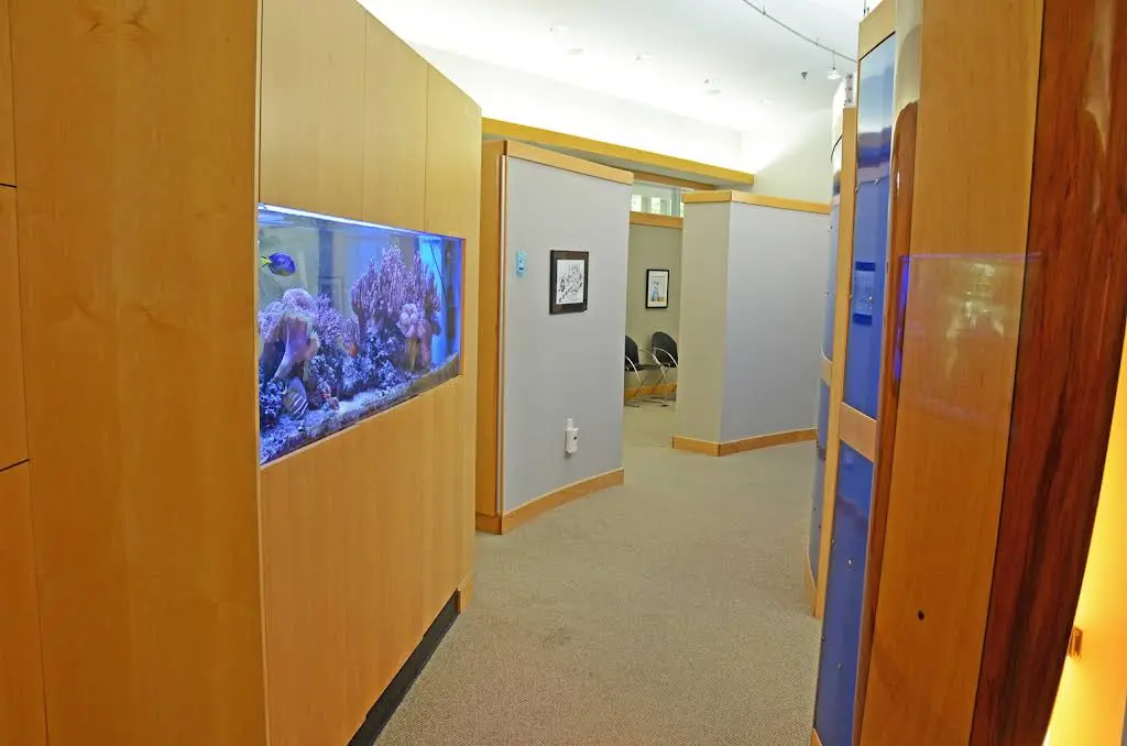 Foster Orthodontics