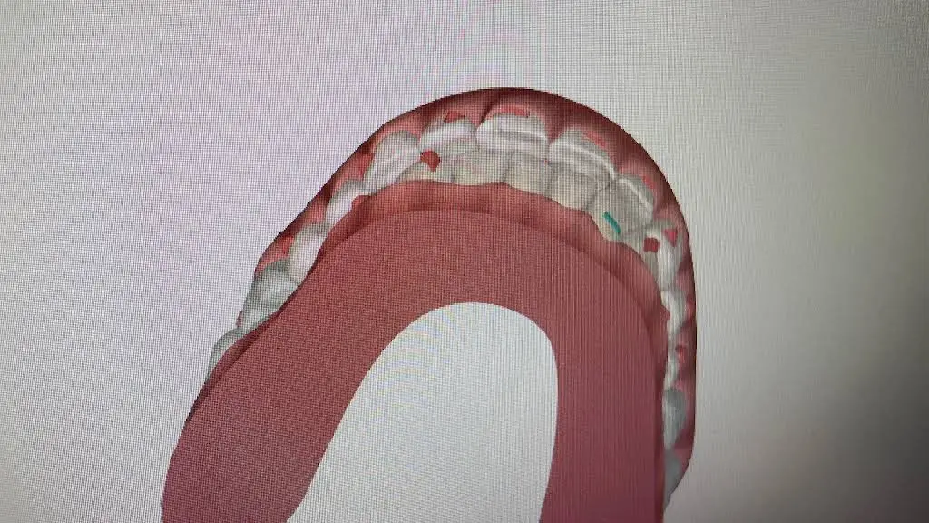 Flower Hill Dental
