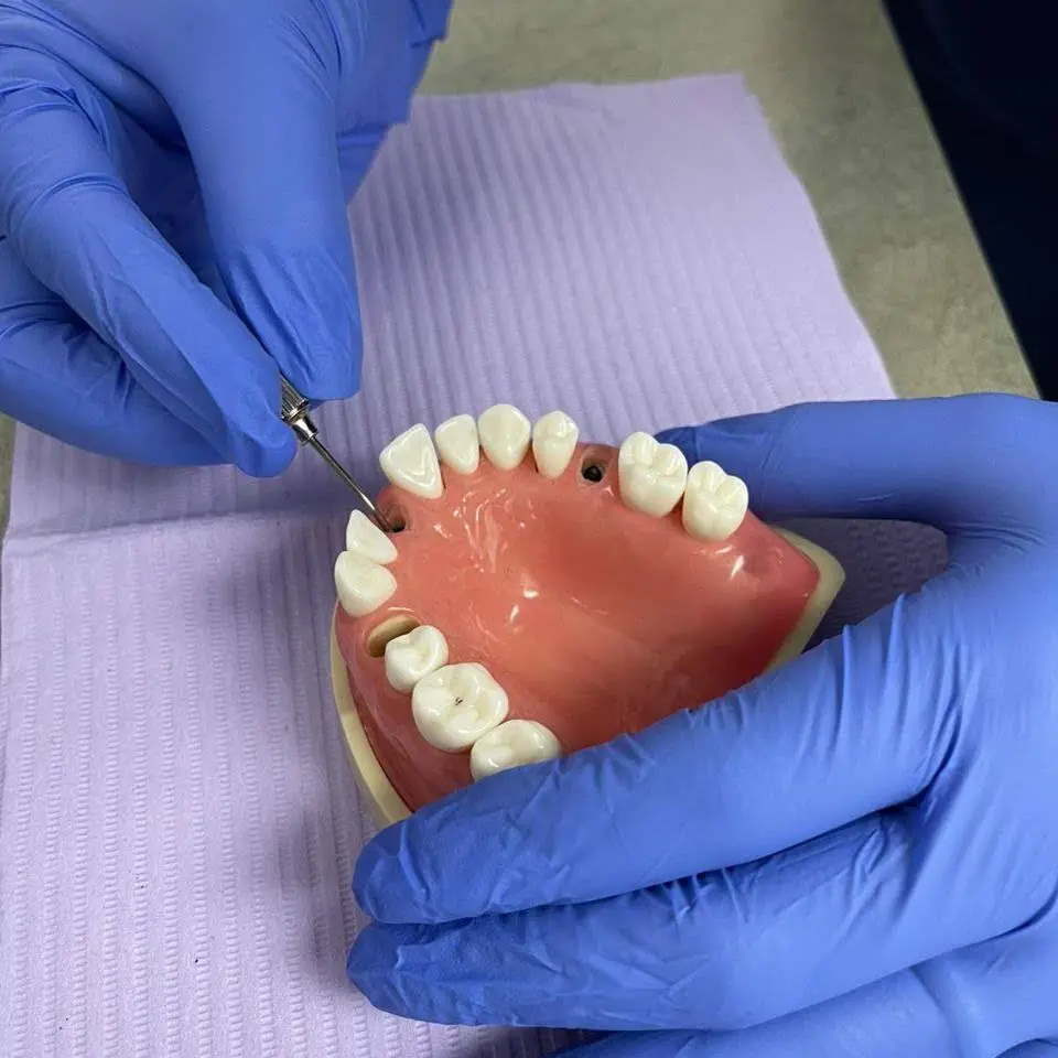 Top Dental