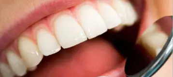 Premier Endodontics S.C.