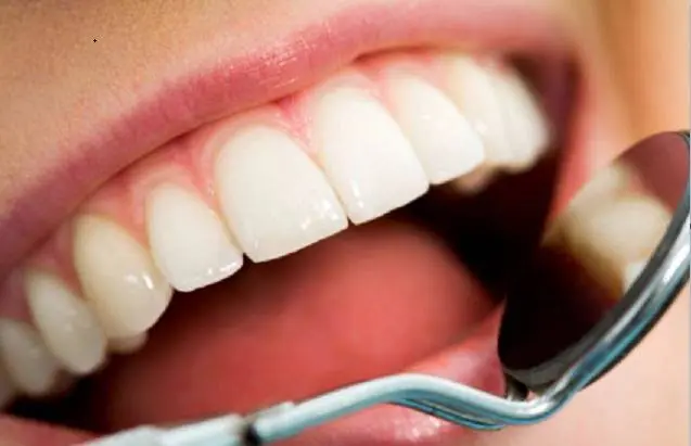 Premier Endodontics S.C.