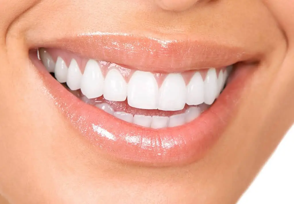 Daub Orthodontics