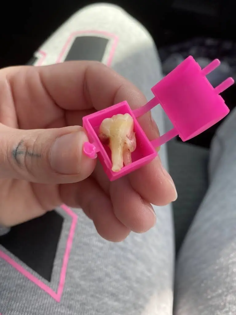 True Dental