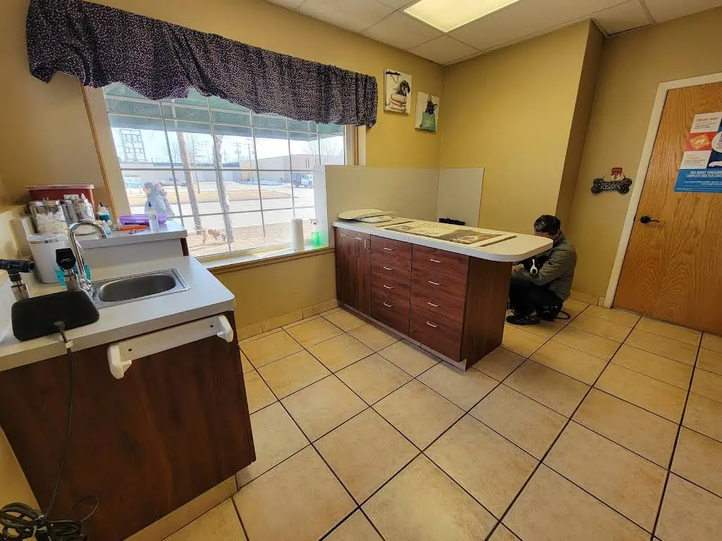 Milwaukee Walk In Vet Clinic