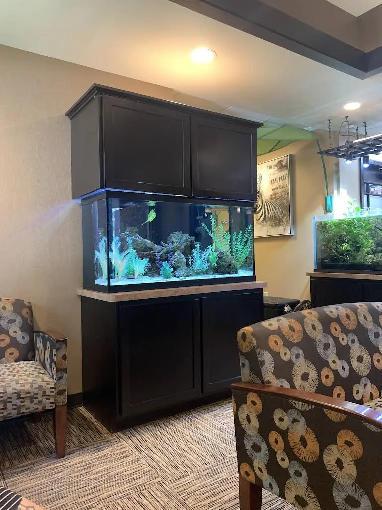 Warren Family Dental