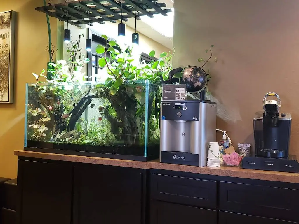 Warren Family Dental