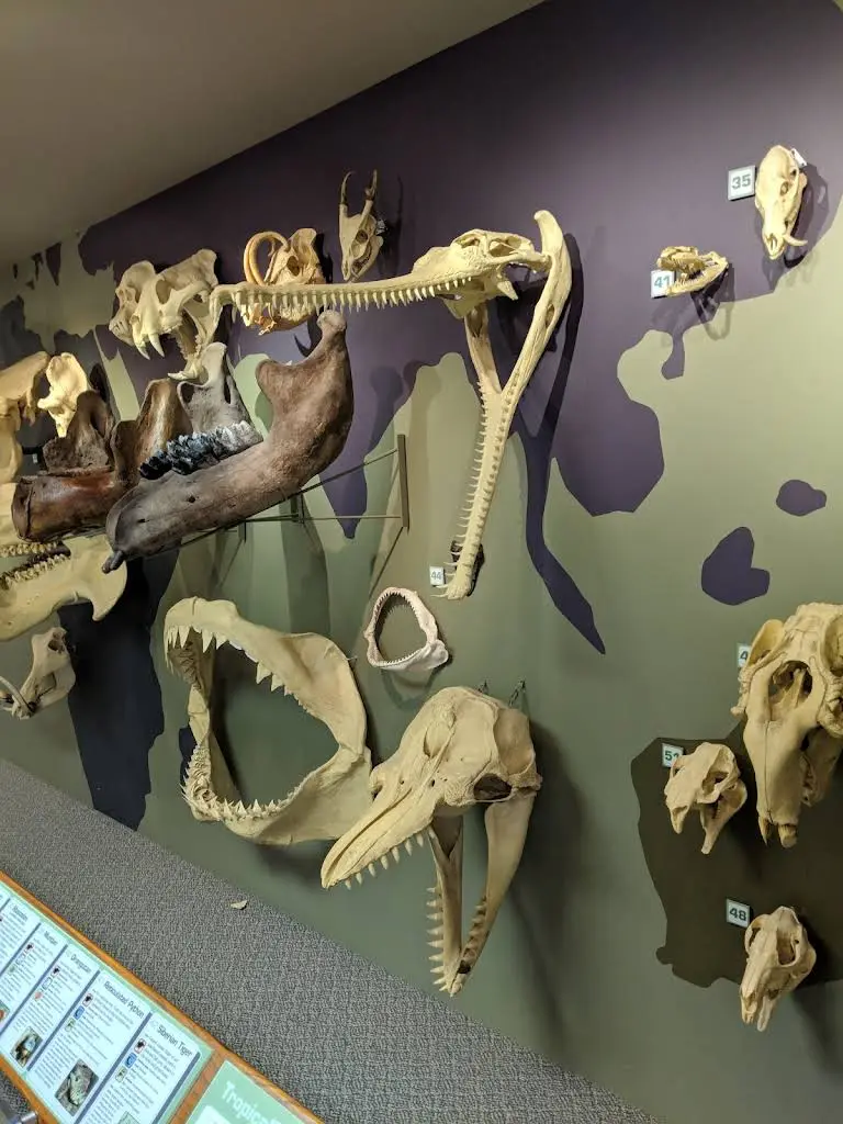 32 Gentle Dental