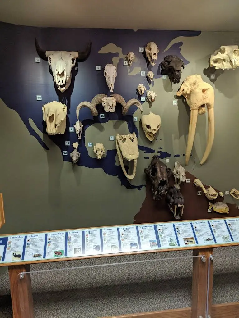 32 Gentle Dental