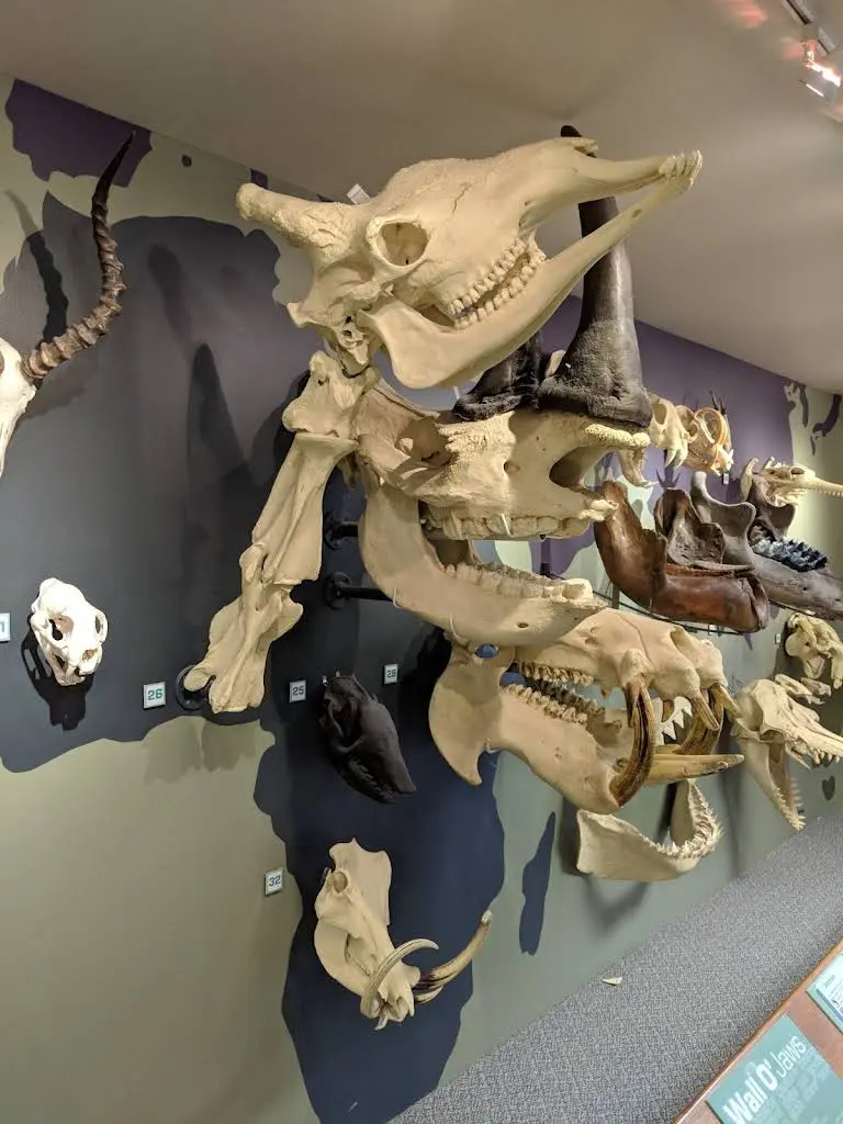 32 Gentle Dental