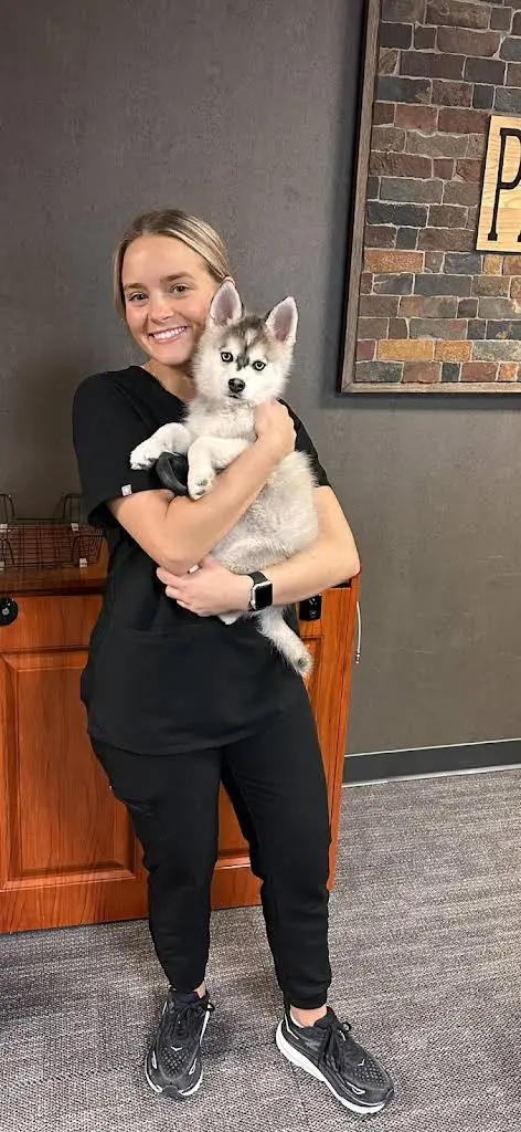 Plaza Dental Group