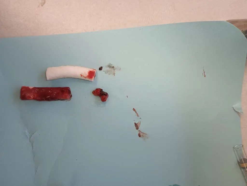 Park Dental LLC