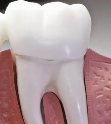 Virginia Dentistry by Design