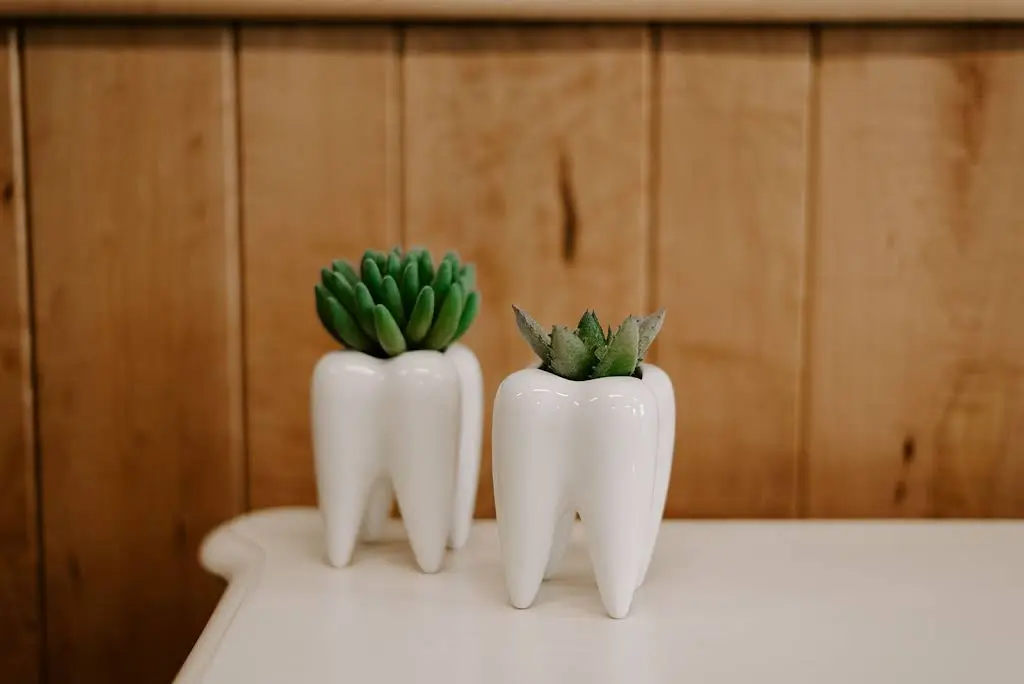 Beaver Dam Dental
