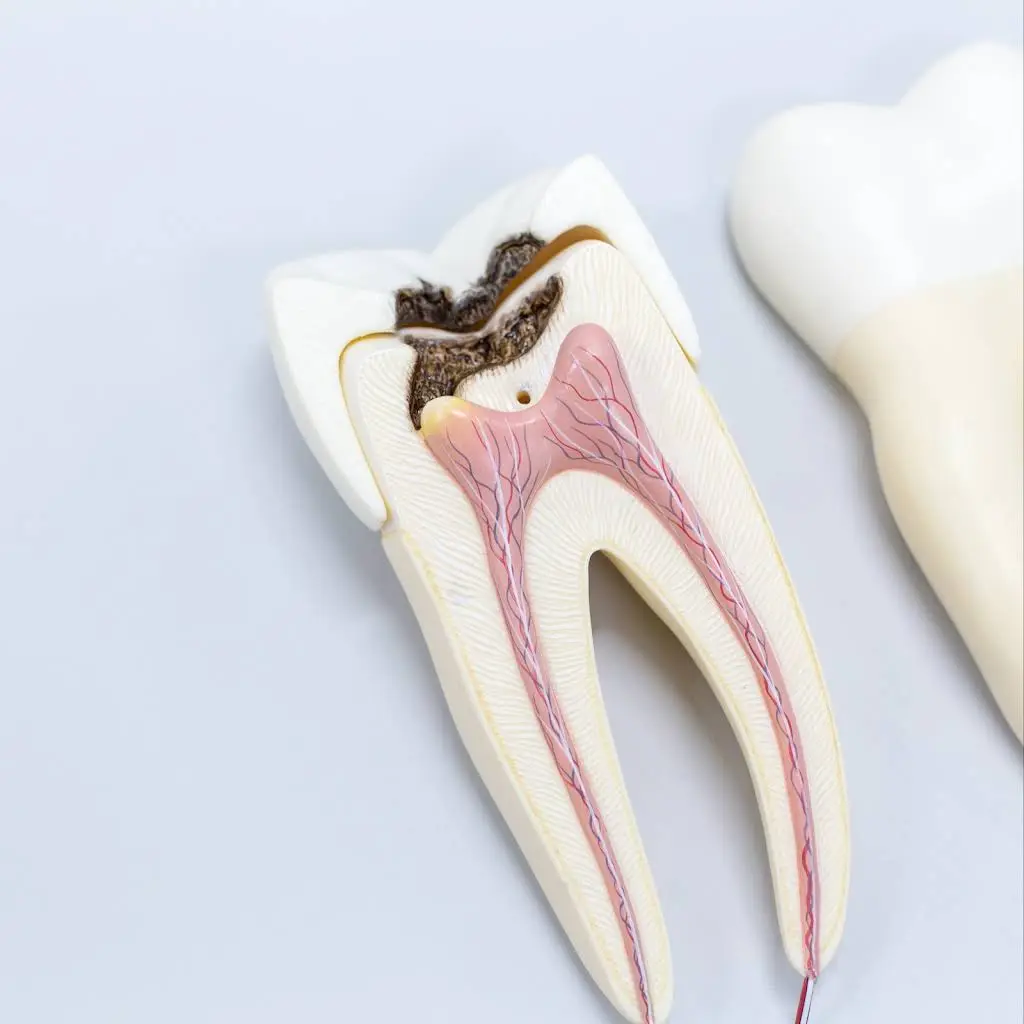 Madison Family Dental Associates