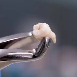 Madison Family Dental Associates