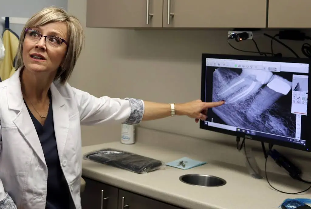 Iowa Heartland Endodontics
