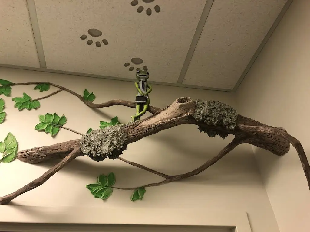 Children's Dental Center of Central Iowa