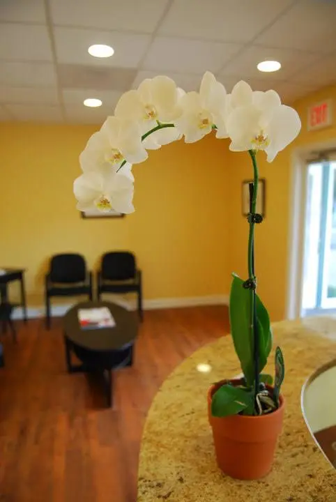 Expressions Dental Care Reston