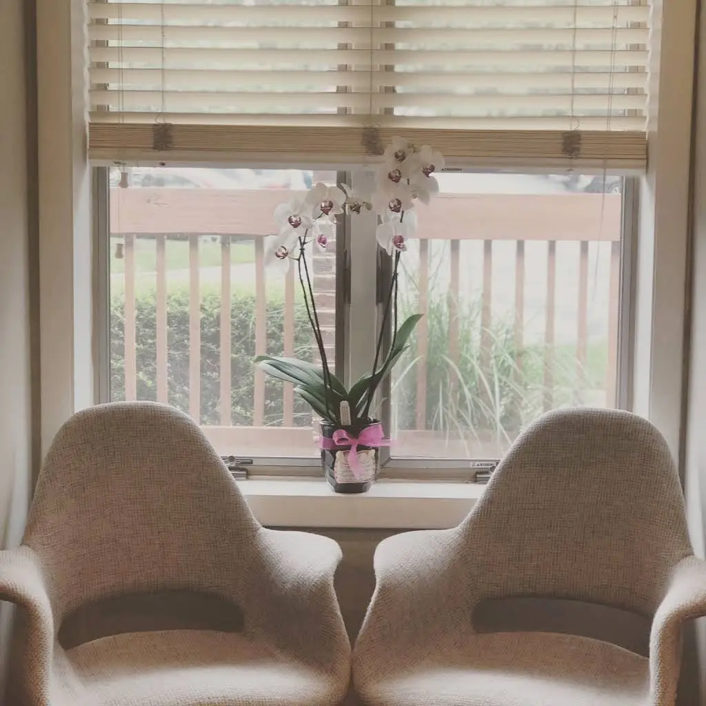 Vine Dental