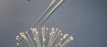 AMC DENTAL SPA