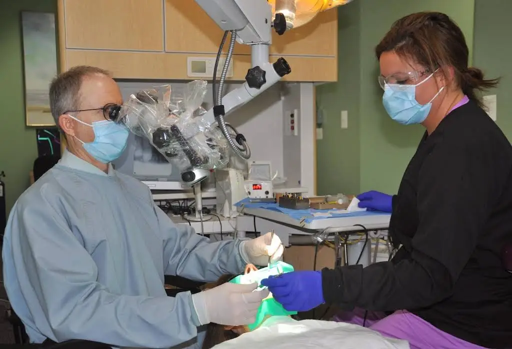 Chesapeake Endodontic Center