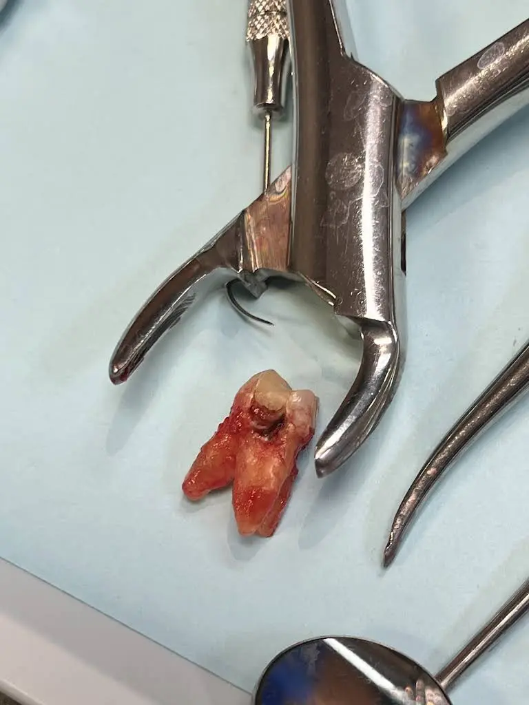 Dental Dreams - Belair