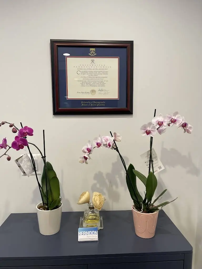 Herndon Dental Design