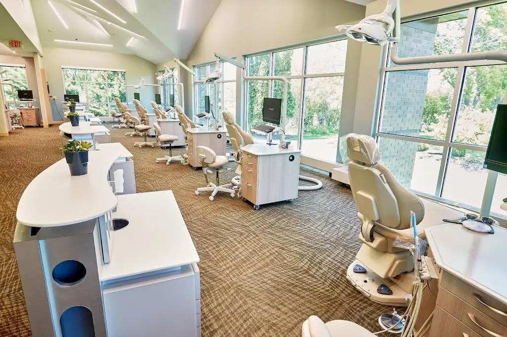 Vivid Orthodontics