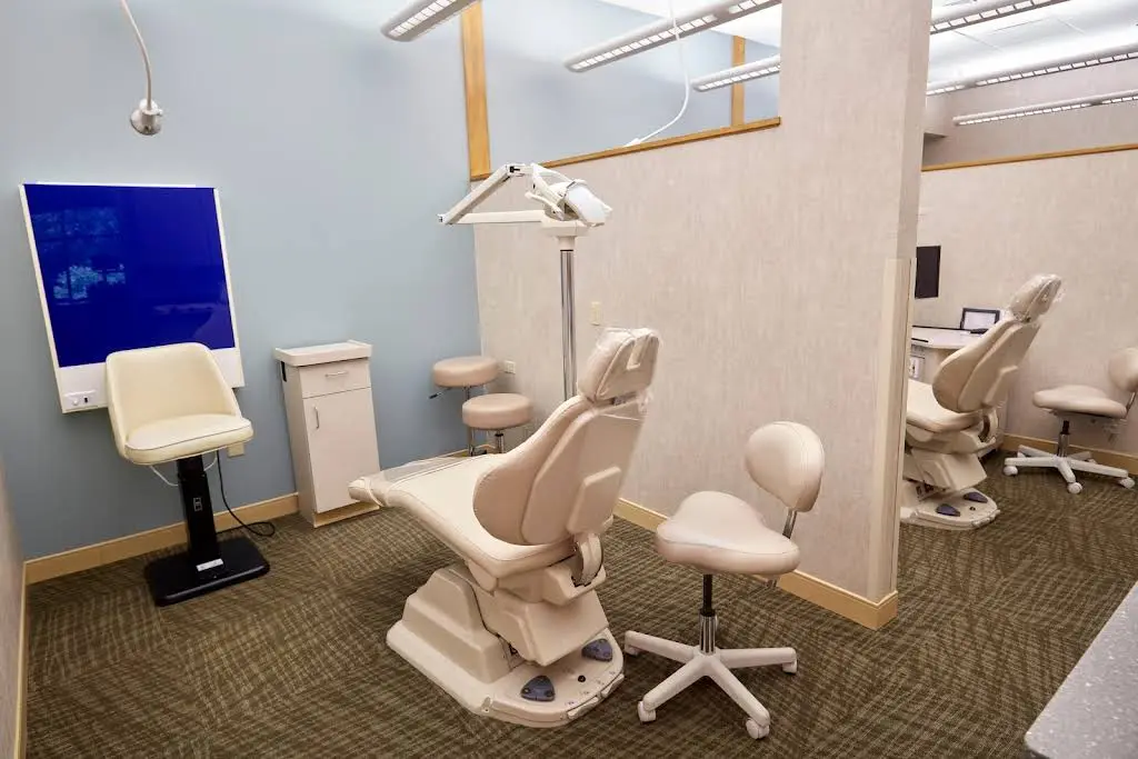 Vivid Orthodontics