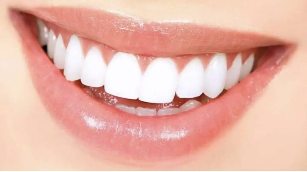 North Point Dental Associates