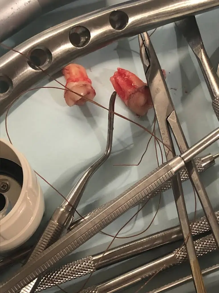 Now Dentistry