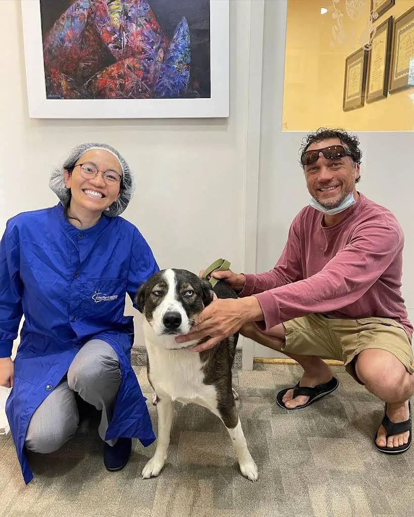 Abel Phan & Associates DDS PLLC