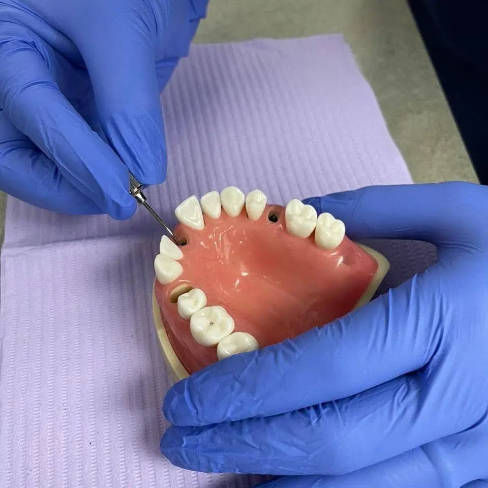Top Dental