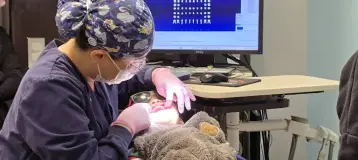 Pediatric Dentistry of South Riding