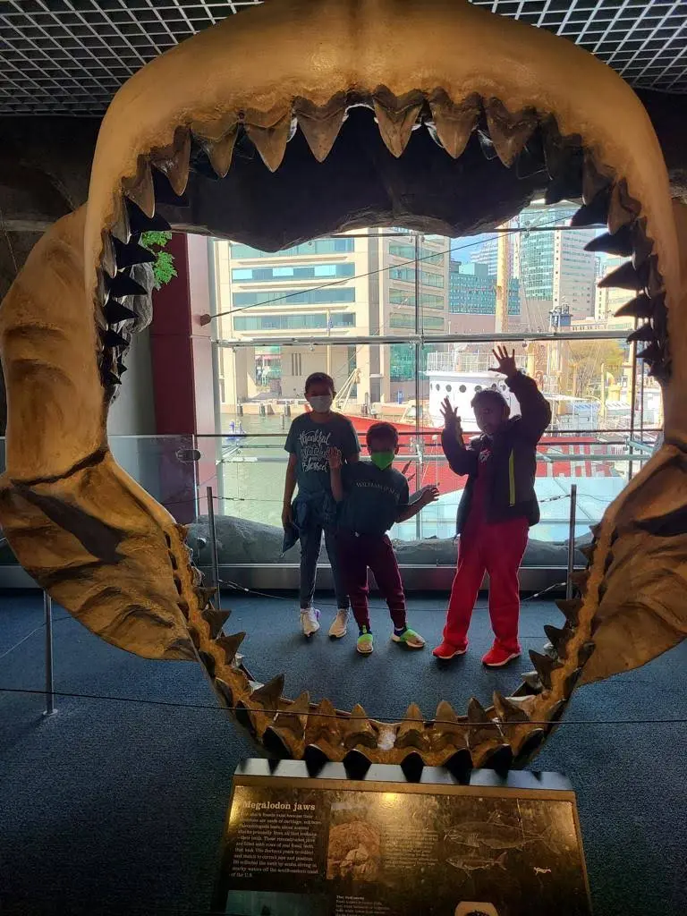 Pediatric Dentistry of South Riding