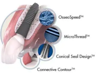 THOMAS C KELLEY DDS MSD