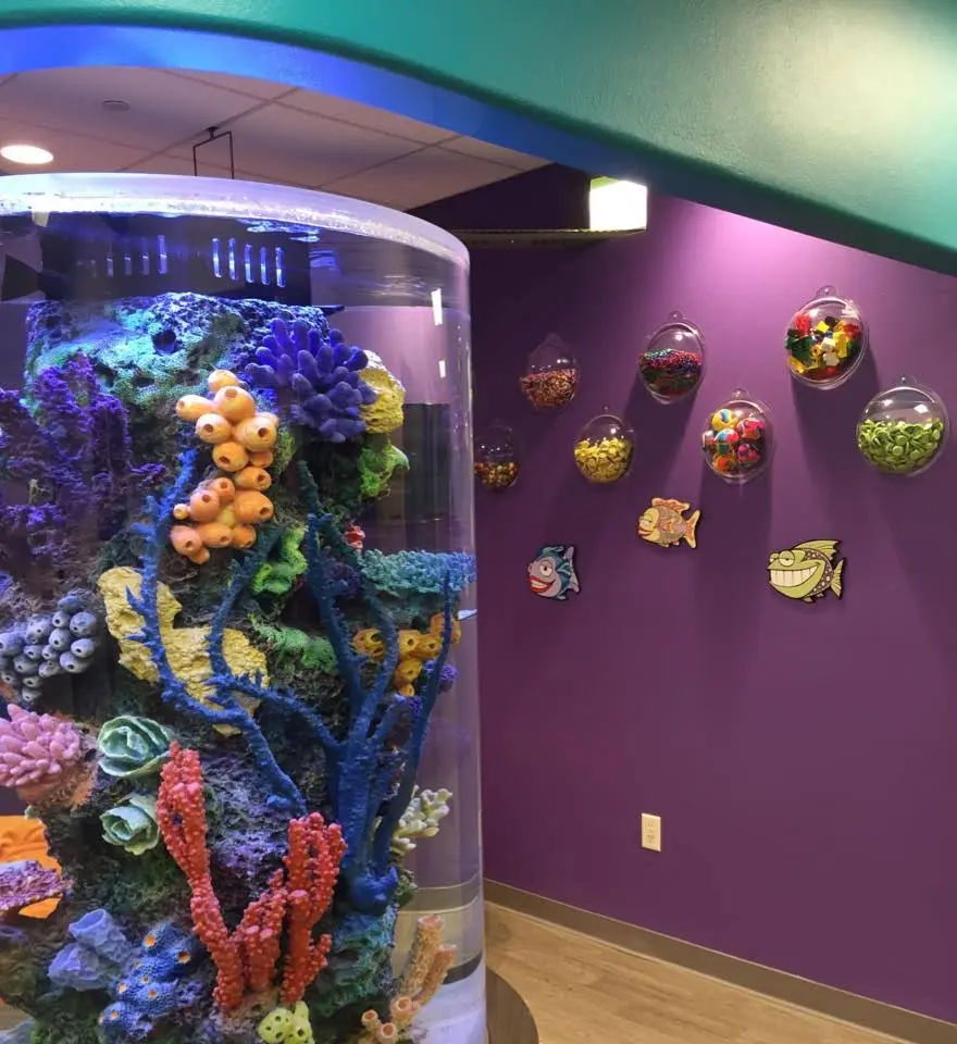 The Kids Dentist of Mequon