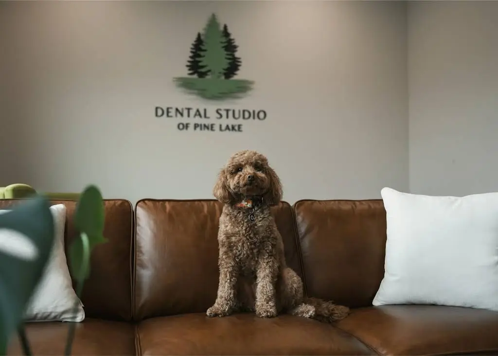 Dental Studio of Pine Lake