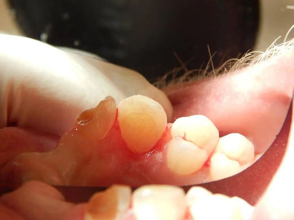 Daniel Rosinsky DDS - Dentist