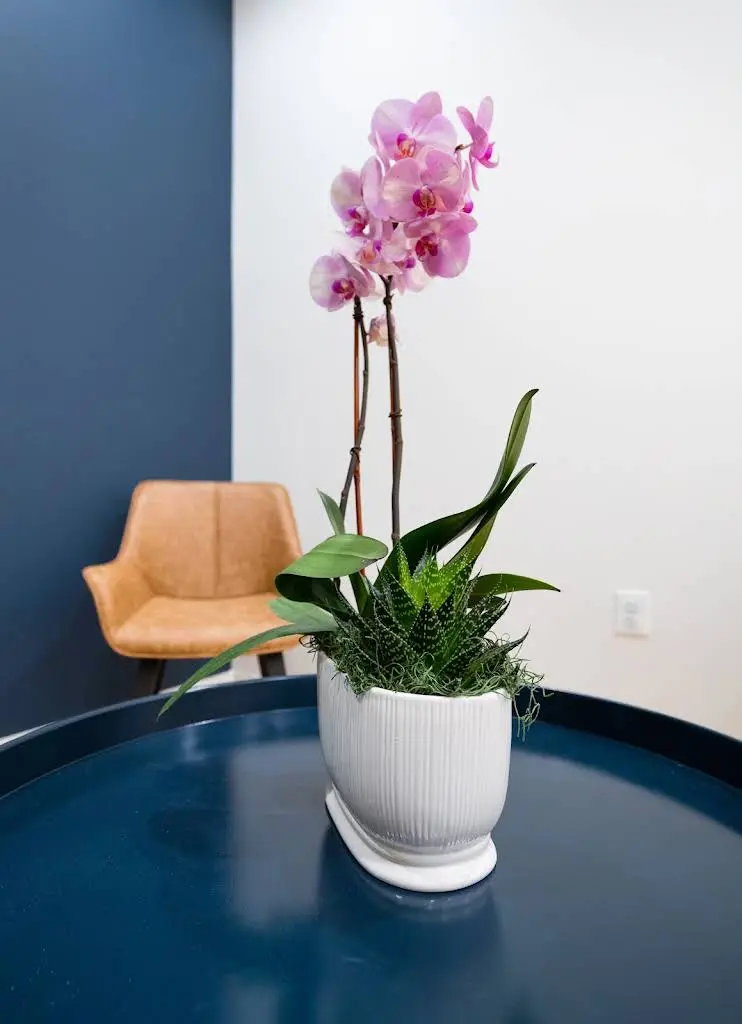Aldie Dental Care