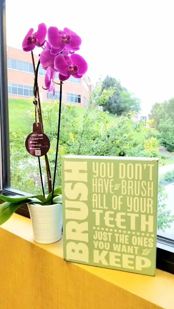 Owings Mills Dentistry