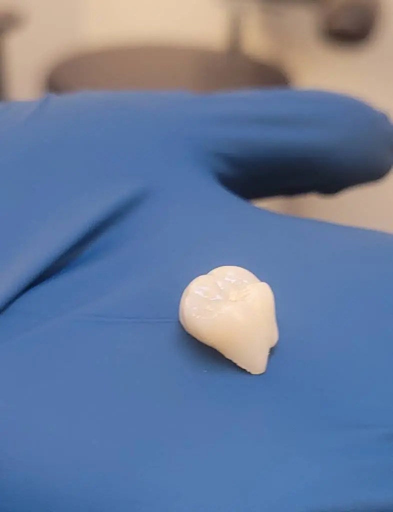 White Pine Dental