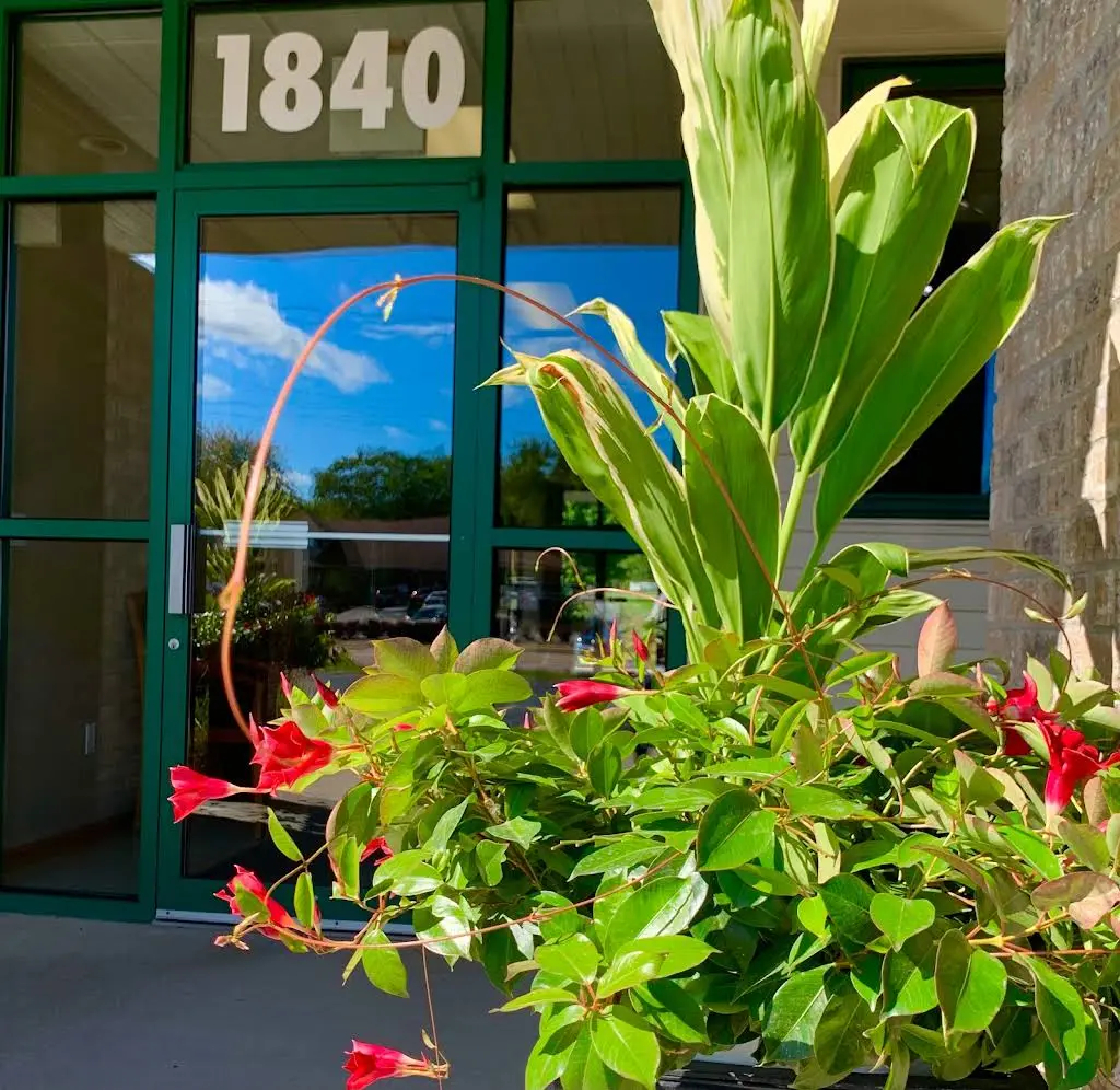 Hulse Dental