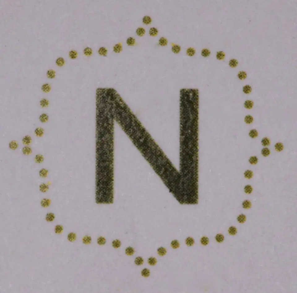 Nelson Dental