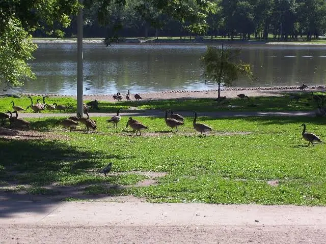 Lakeside Dentistry