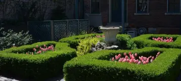 Walnut Street Dental