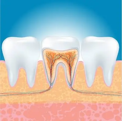 Chesapeake Contemporary Dentistry