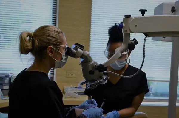 Endodontic Partners