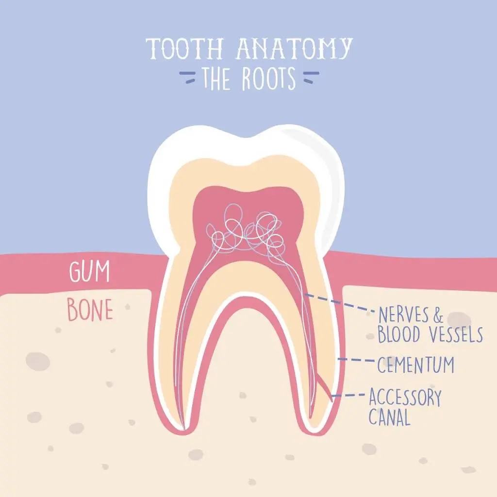 Goose Creek Village Dental