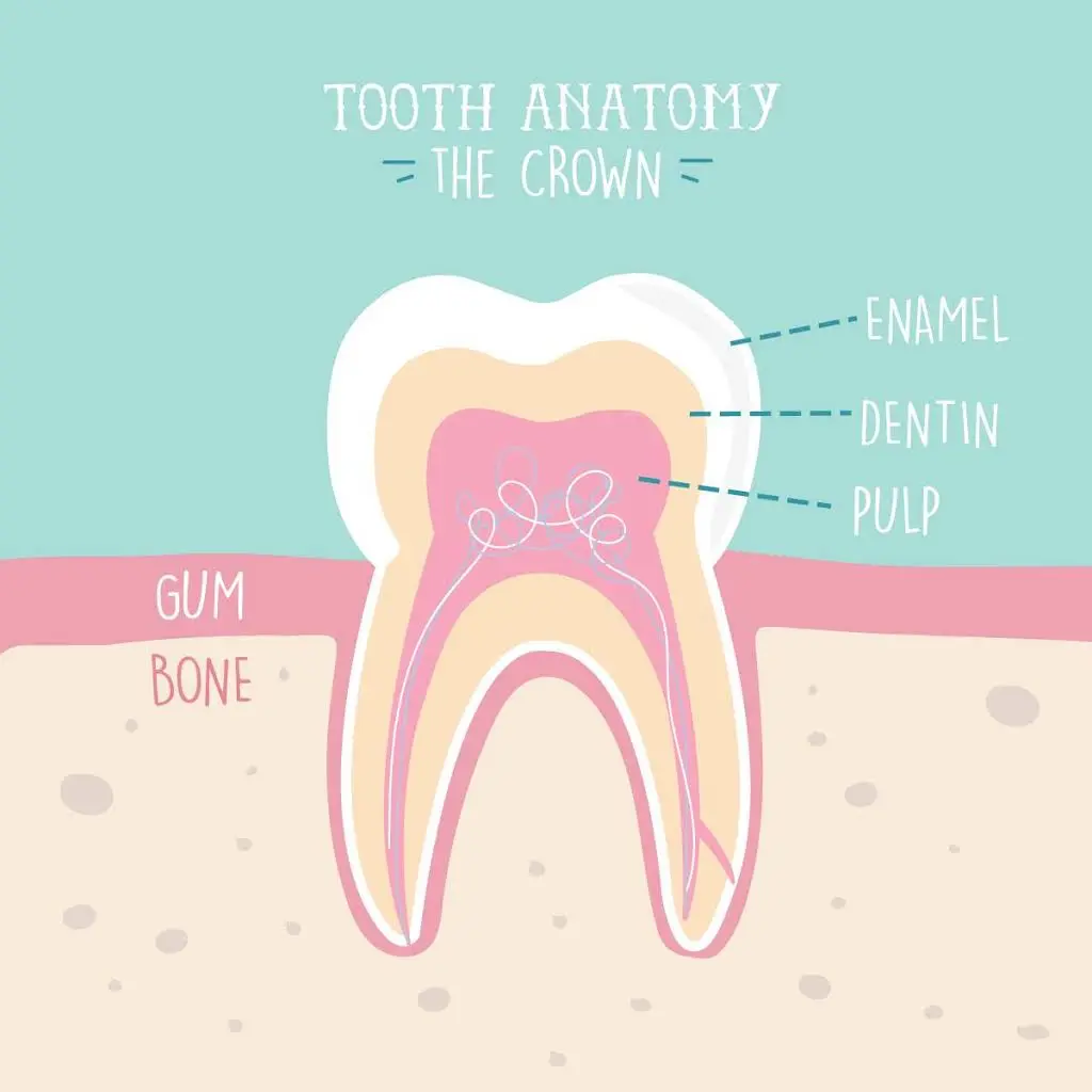 Goose Creek Village Dental